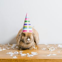 pexels-mart-production-8434735